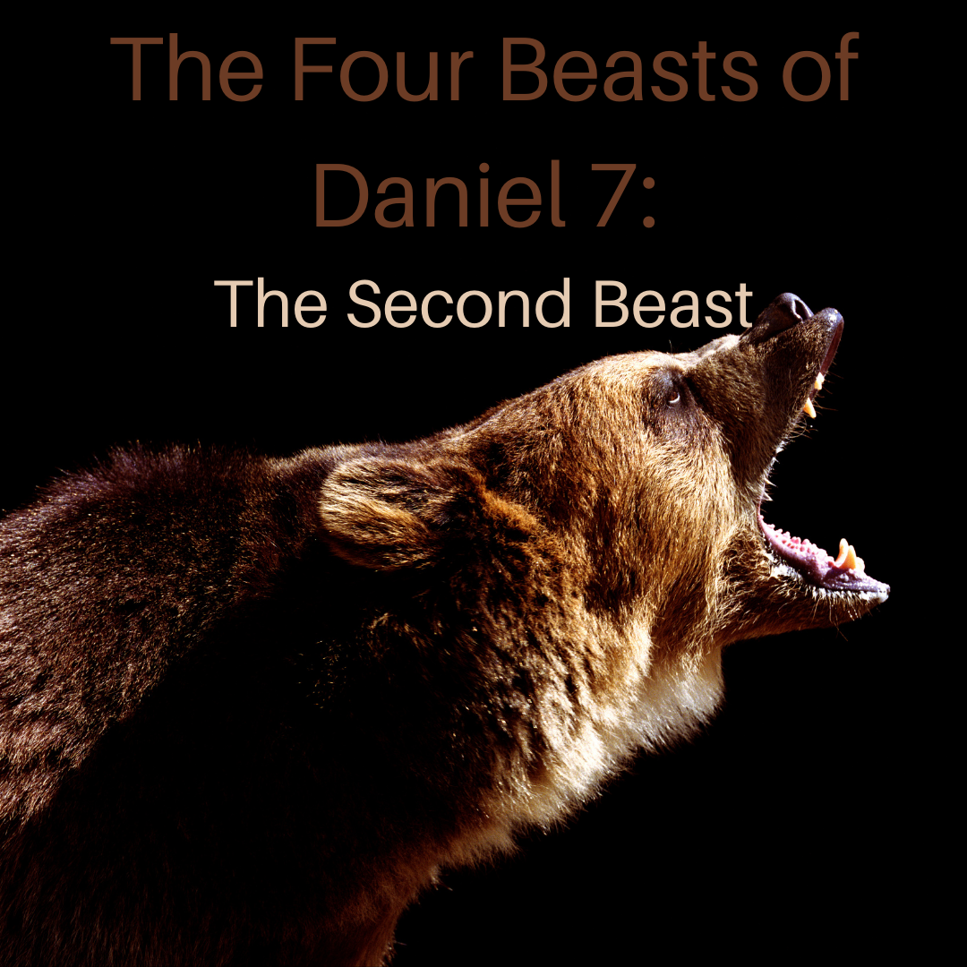 The Four Beasts of Daniel 7: The Second Beast - HoldToHope