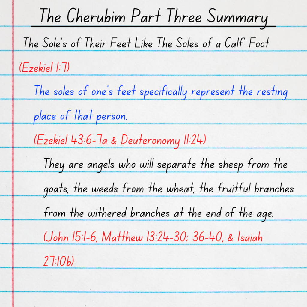 The Cherubim's Soles of their Feet Summary